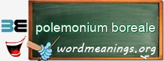 WordMeaning blackboard for polemonium boreale